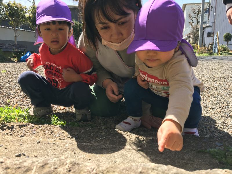 あつぎはないろ保育園-2024年3月